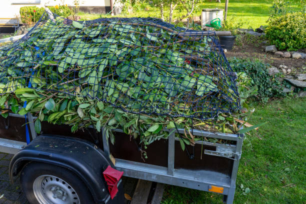 Best Carpet Removal and Disposal  in Felton, CA